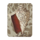 Search for sonnets magnets Seashells