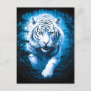 Search for tiger christmas cards Jungle