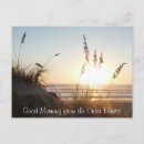 Search for corolla postcards Ocean