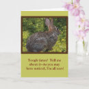Search for rabbit ear cards Cute bunny rabbit