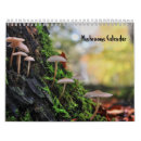 Search for fungi calendars Nature