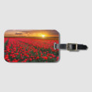 Search for bulb accessories Netherlands