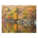 Search for ecology posters Trees