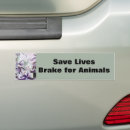 Search for animal photos bumper stickers Pet photo