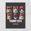 Search for safe postcards Vote