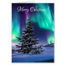 Search for northern lights christmas cards Alaska