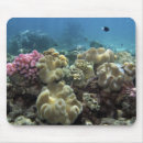 Search for barrier mouse mats Sea