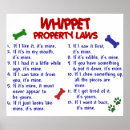 Search for whippet funny posters Dog