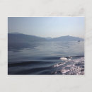 Search for brac Europe