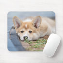 Search for a laying mouse mats Puppy