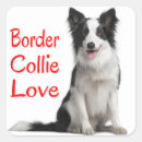 Search for border collie puppy stickers Puppies