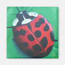 Search for lady beetles magnets Ladybird