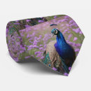 Search for regal ties Peacock