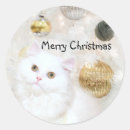 Search for white persian cat stickers Beautiful