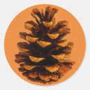 Search for pinecone stickers Rustic