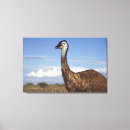 Search for western canvas prints Wildlife