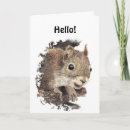 Search for cute squirrels cards Humour