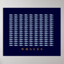 Search for beluga posters Sea
