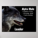 Search for alpha wolf posters Wolves