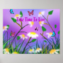 Search for spring daisy posters Daisies