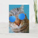 Search for super cool cards Cat
