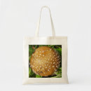 Search for fungus accessories Amanita