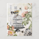 Search for vintage bee postcards French
