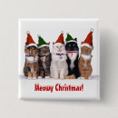 Search for greetings square badges Cats