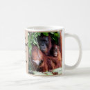 Search for palm oil mugs Orangutan