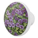 Search for african violet Flower