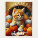 Search for napping office supplies Kitten