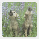 Search for wolf howling stickers Dog