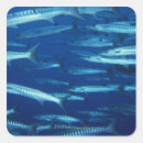 Search for school of fish stickers Seafood