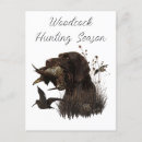 Search for german wirehaired pointer postcards Deutsch drahthaar