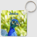 Search for peacock photo key rings Bird