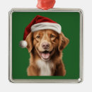 Search for nova scotia christmas tree decorations Dog