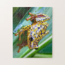 Search for darts puzzles Frog