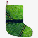 Search for mexico christmas decor Nature