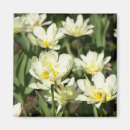 Search for digital design magnets Flowers