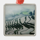 Search for agriculture christmas tree decorations Landscape