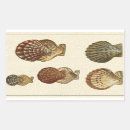 Search for vintage shell stickers Sepia seashell