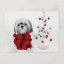 Search for shih tzu cards Lap dog
