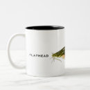 Search for flathead mugs Fishing