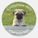 Search for pups stickers Puppies