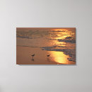 Search for sunrise canvas prints Birds