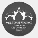 Search for saint bernards stickers Dog