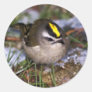 Search for tiny animal stickers Small