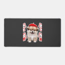 Search for beret Puppy