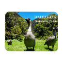 Search for hawaii souvenir magnets Maui
