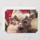 Search for eyeglasses cards Dog
